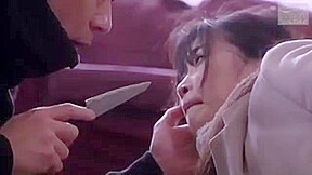04889,Japanese erotic porn project