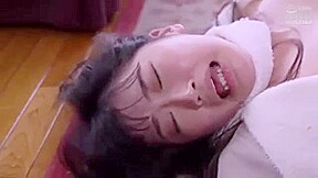 04889,Japanese erotic porn project