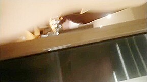 91小哥佩奇酒吧邂逅172CM御姐