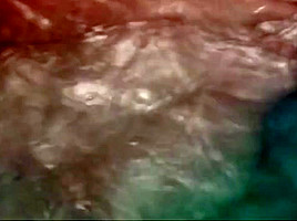 A thought Of Ecstasy (2017)