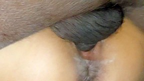 Asian Wife Fucking With Black Guy