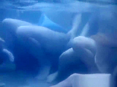 Asian babe is hot and bathing in the hot part5
