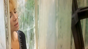 Asylum (2005) Natasha Richardson