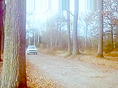 Autostoppeuses en chaleur 02theclassicporn com