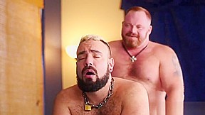 BEAR14- FUCK CUTE BEAR
