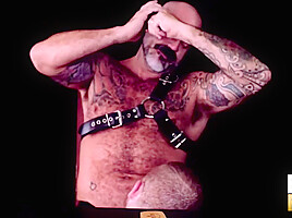 BEARFILMS Bears Sean Knight And Scotty Rage Bareback Roughly