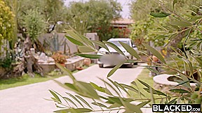 BLACKED Cheating Angelina has outdoor sex with a stranger