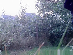 Backyard blowjob and fuck