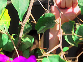 Breeding Garden: Sc  1