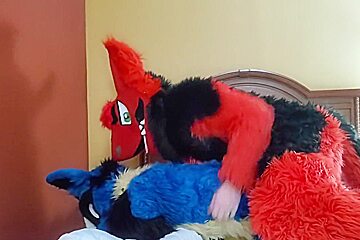Brff Murrsuit Orgy Party
