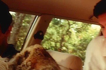 Brigitte Lahaie And Karine Gambier In Cuisses Entrouvertes