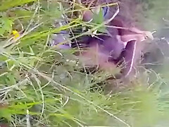 Caught Fucking In The Bush