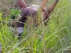 Caught Fucking In The Bush