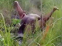 Caught Fucking In The Bush