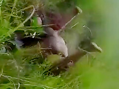 Caught Fucking In The Bush