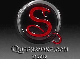 Chassis Wash - Queen Snake