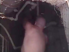 Clint and Zach fuck