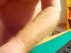 Cockplay on redhaircock