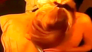 Colossal Dick Blow Job And Facial For Filthy Amateur Step mom