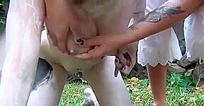 Cow Girl