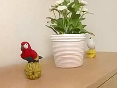 Crazy adult clip jav craziest only for you