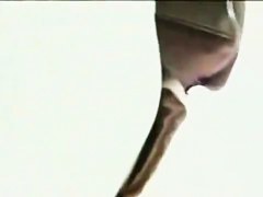 Cutie flaunts her pussy in a hot up skirt video