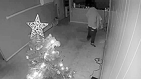 Dick Sucking Pro For Christmas