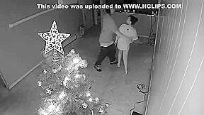 Dick Sucking Pro For Christmas
