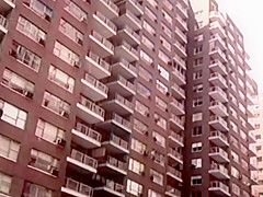 Doris Wishman Classics