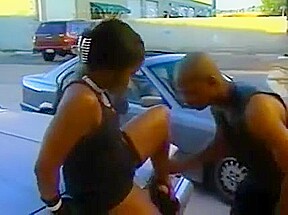 Ebony Star Cinnabunz in 24 7 7 Get 2 Steppin