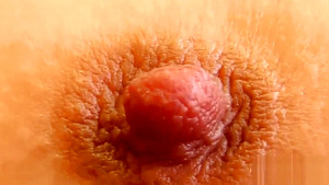 Euro Lenka with a banana rubbing her shaved vagina
