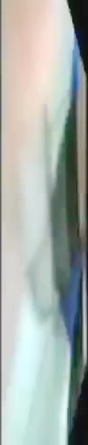 Excellent adult clip Amateur best show