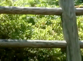Fabulous Cumshot, Outdoor sex clip