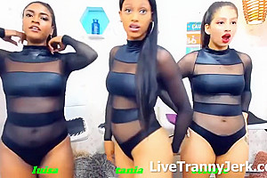 Fetishcouples Cam Ladyboy