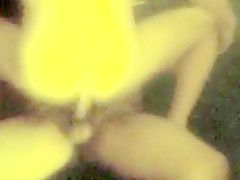 Fucking Bareback