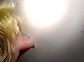 Gloryhole Adventures - I