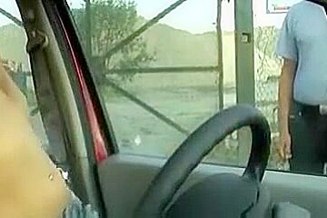 Gorgeous babe sucks cock through the car window 