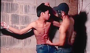 Gutpunch 6pack