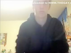 He Teaches His Young Ass