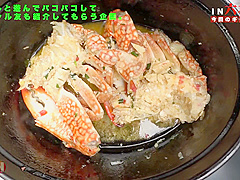 Highlights of 483SGK-023