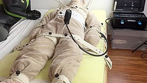 How to milk a plush bear