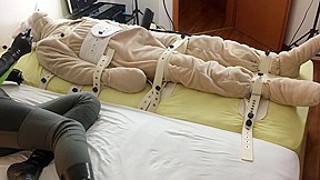 How to milk a plush bear
