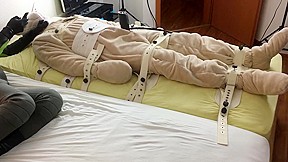 How to milk a plush bear