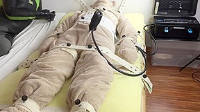 How to milk a plush bear