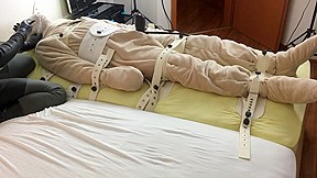 How to milk a plush bear