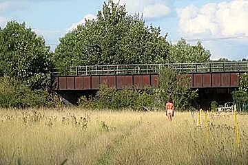 In An English Meadow And Flashing On The Train