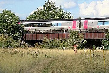 In An English Meadow And Flashing On The Train