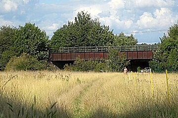 In An English Meadow And Flashing On The Train