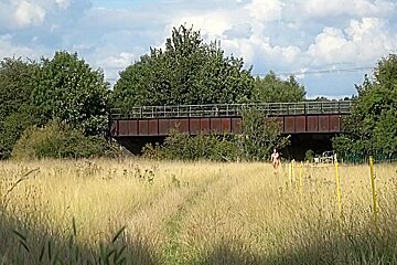 In An English Meadow And Flashing On The Train