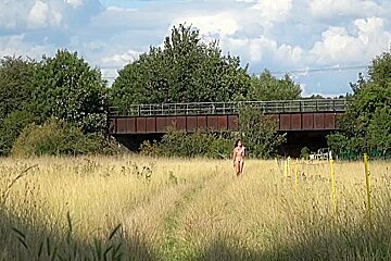 In An English Meadow And Flashing On The Train